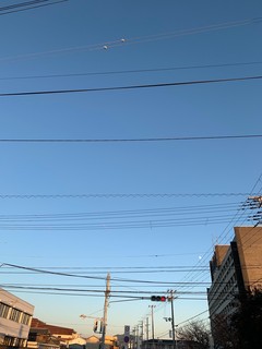 IMG_1604.JPG