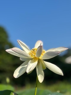 IMG_1741.jpg