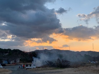 IMG_1746.jpg