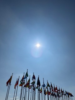 IMG_1806.jpg