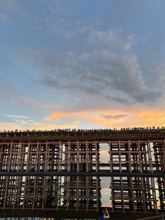 IMG_1920.jpg