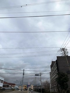 IMG_1956.JPG