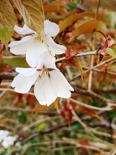 IMG_1988.jpg