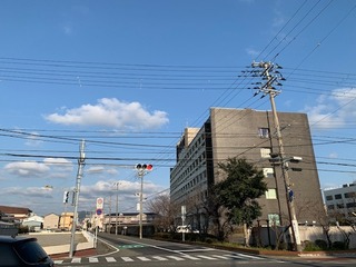 IMG_1995.jpg