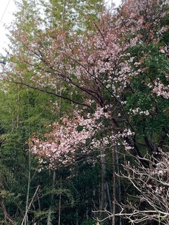 IMG_2013.jpg