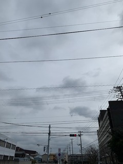 IMG_2014.JPG