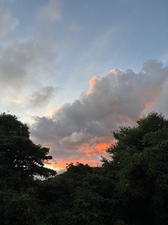 IMG_2138.JPG