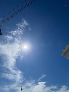 IMG_2156.jpg