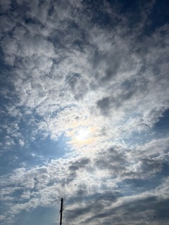 IMG_2177.JPG