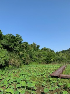 IMG_2310.JPG