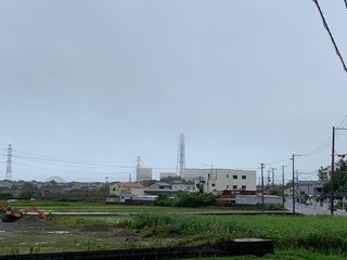 IMG_2336.jpg