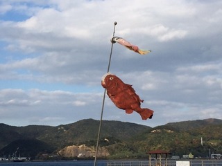 IMG_2388.JPG