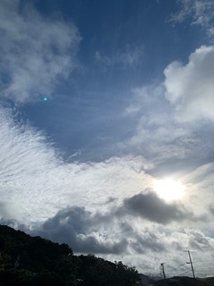 IMG_2544.JPG