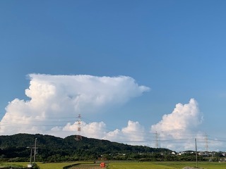 IMG_2627.jpg