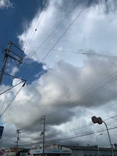IMG_2630.jpg