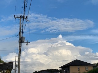 IMG_2660.JPG