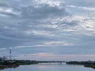 IMG_2664.jpg