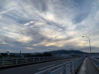 IMG_2668.jpg