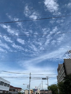 IMG_2674.JPG