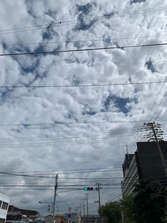 IMG_2700.JPG