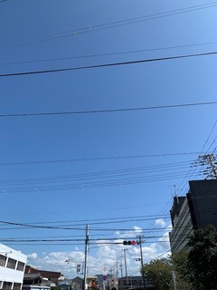 IMG_2770.JPG