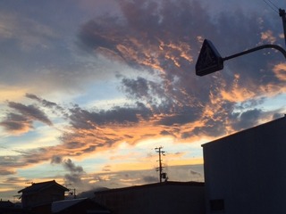 IMG_2897.JPG