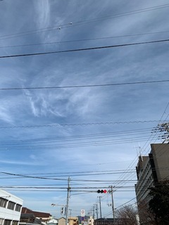 IMG_3036.JPG