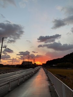 IMG_3073.jpg