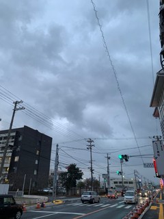 IMG_3340.jpg