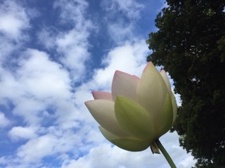 IMG_3600.JPG