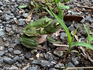 IMG_3632.jpg