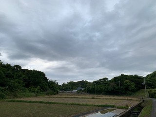 IMG_3634.jpg