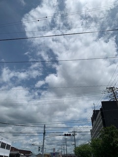 IMG_3637.JPG