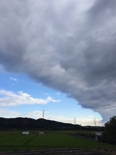 IMG_3800.JPG