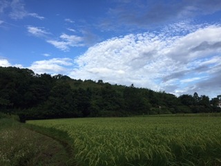 IMG_3818.JPG