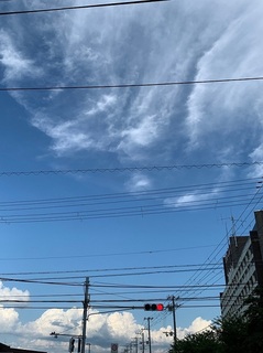 IMG_3875.JPG