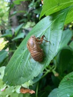 IMG_3899.JPG