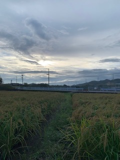IMG_3904.jpg