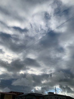 IMG_4030.JPG