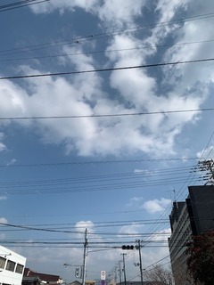 IMG_4817.JPG