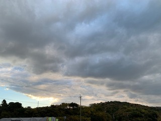 IMG_5444.JPG