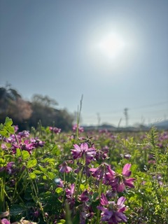 IMG_6876.JPG