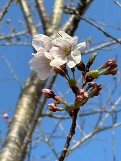 IMG_6878.jpg