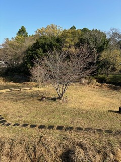 IMG_6879.jpg