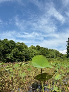 IMG_7560.JPG