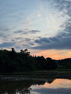 IMG_7611.jpg
