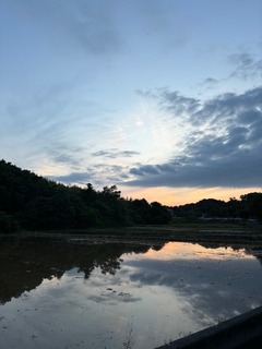 IMG_7612.jpg