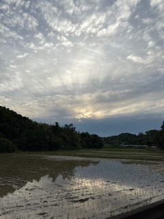 IMG_7616.JPG