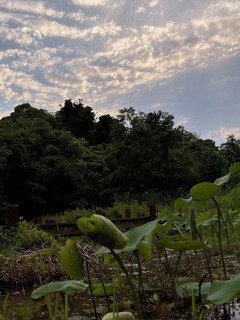 IMG_7619.jpg