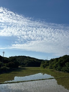 IMG_7622.JPG